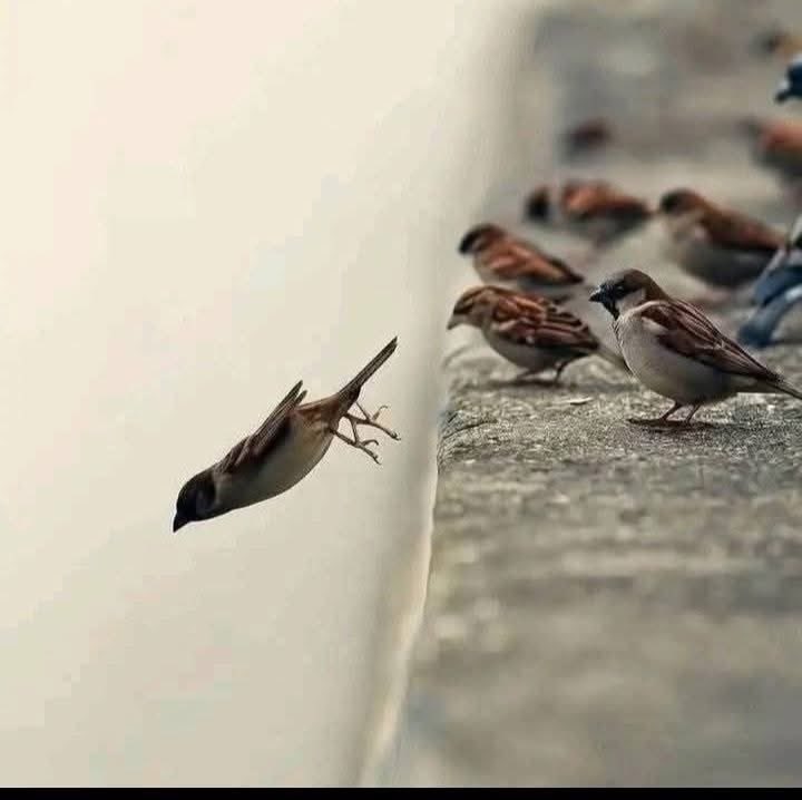 sniper_311's tweet image. “أسوأُ بيئةٍ هي التي ترى فيها العداوةَ ولا ترى أسبابَها.”