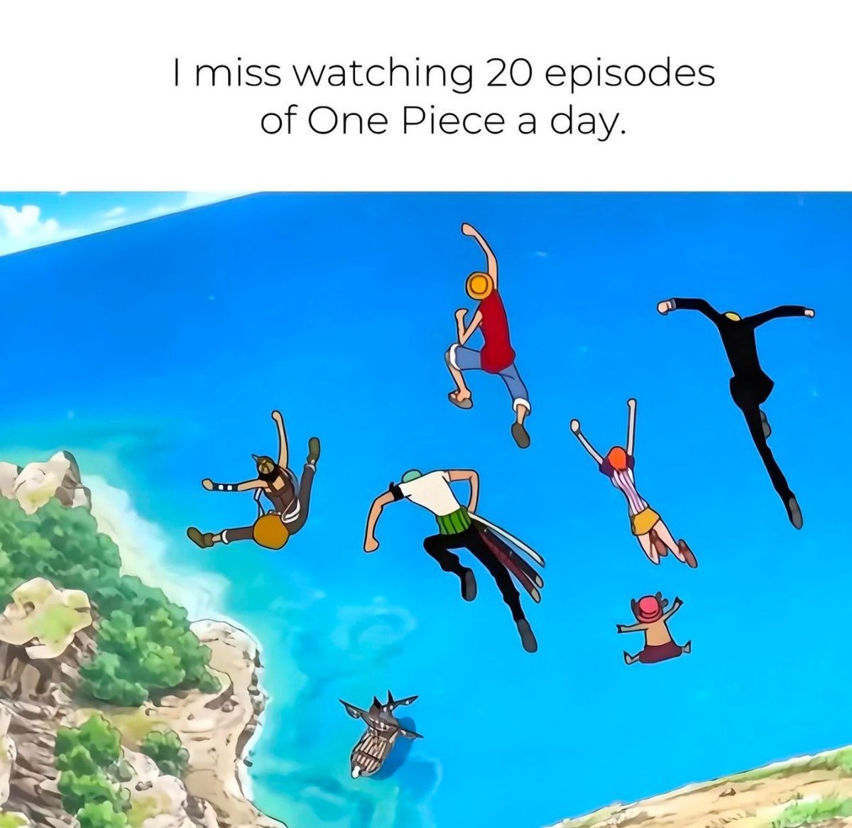 One Piece Daily tweet media