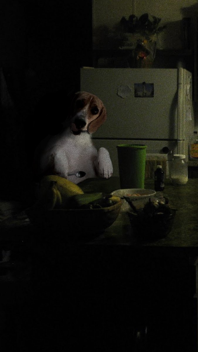 Dog Nightmares News tweet media