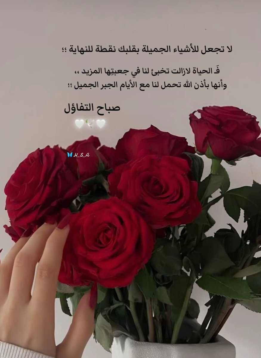 اميرة الذوق tweet media