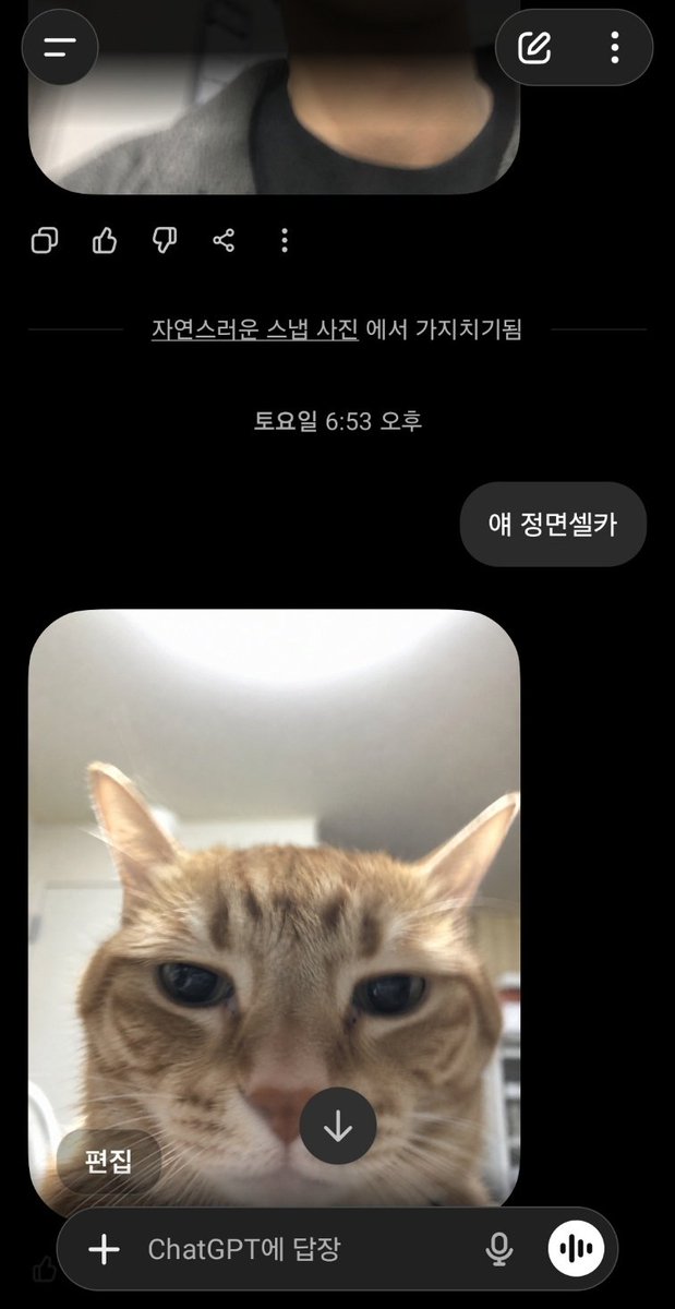 짱이 tweet media