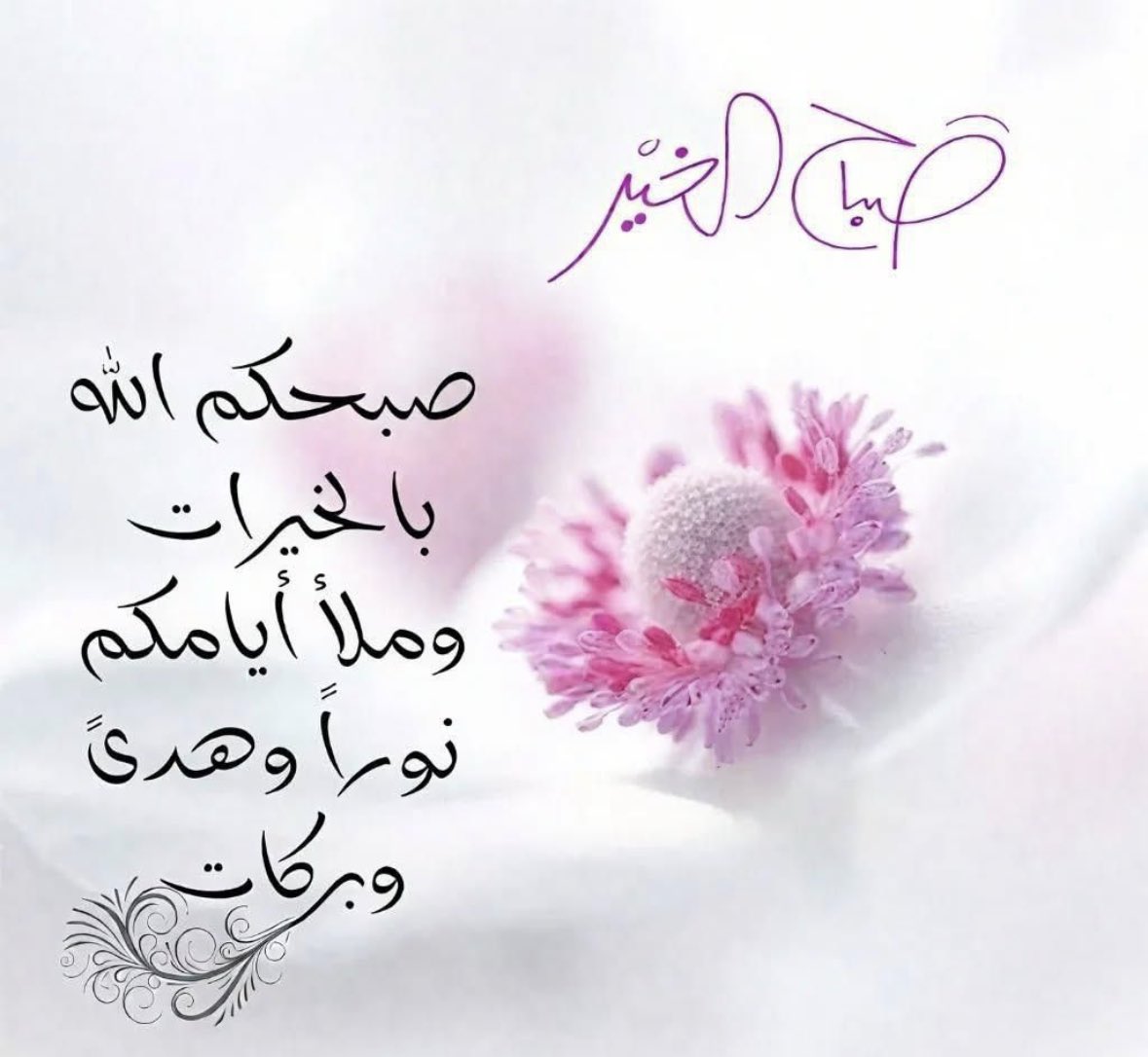 عدنان الربيعي tweet media