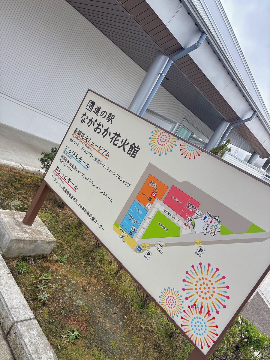 だだ🏄‍♂️ tweet media