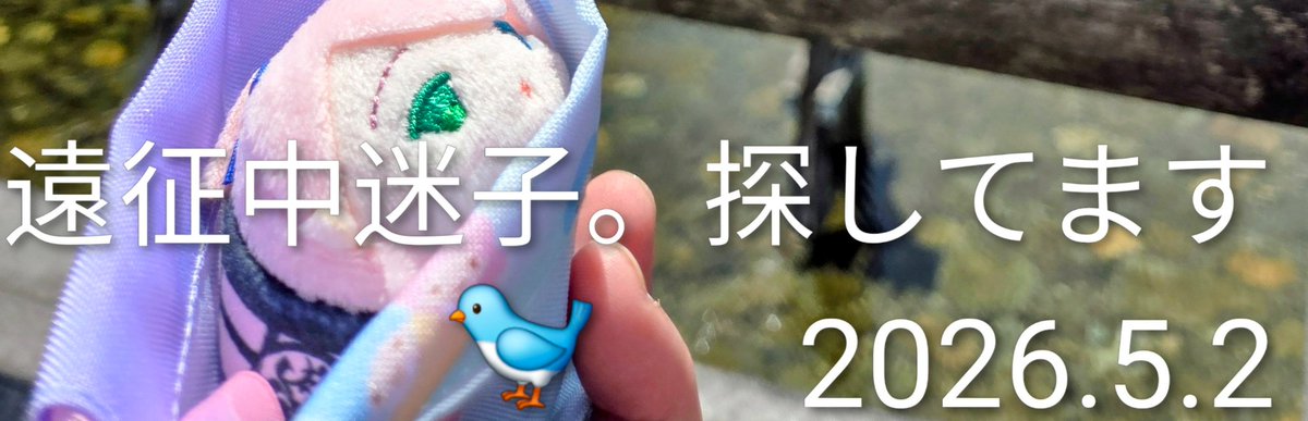 美咲(いつも、ありがとうございます🌻感謝。闘病中。無理のないよう活動します。 tweet media