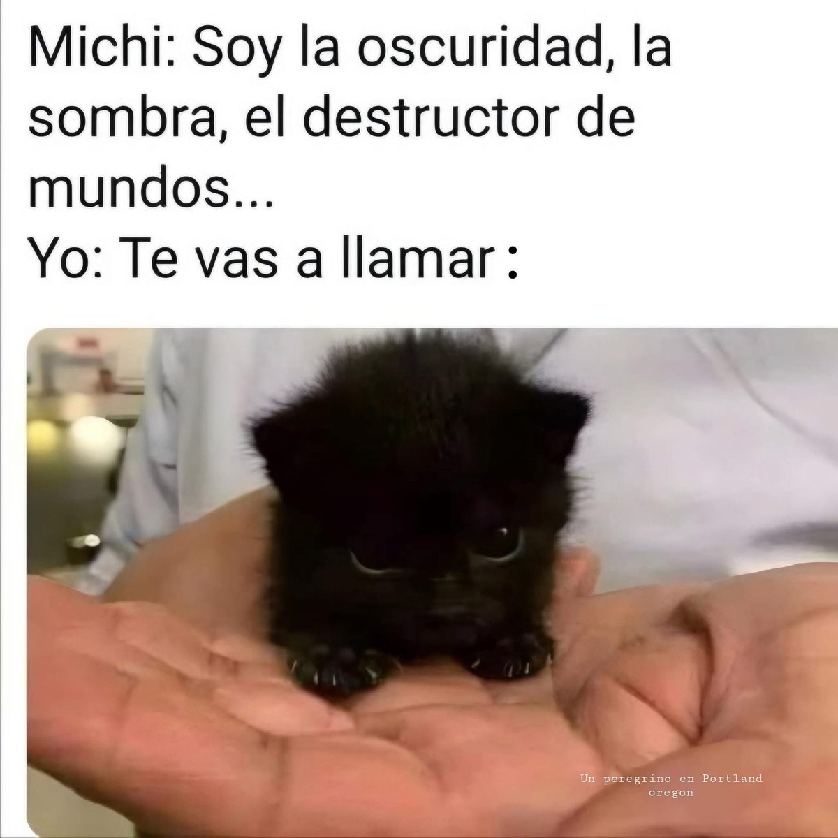 El Meme tweet media