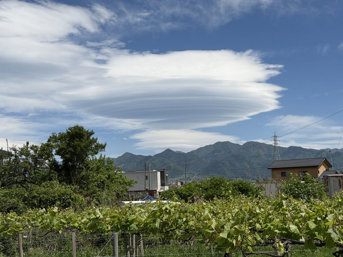 バン仲村 tweet media