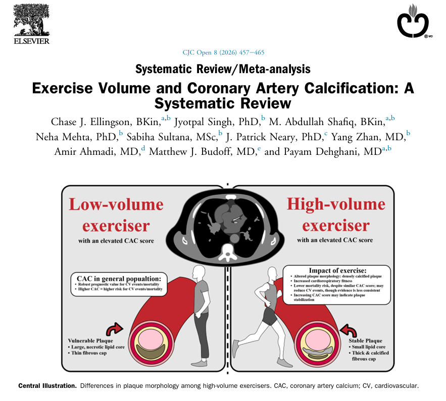 This systematic review finds that the evidence overall suggests that although high-volume exercisers may have higher coronary artery calcium (CAC) scores, the clinical significance of this observation is challenged by the lower mortality and cardiovascular disease event rates