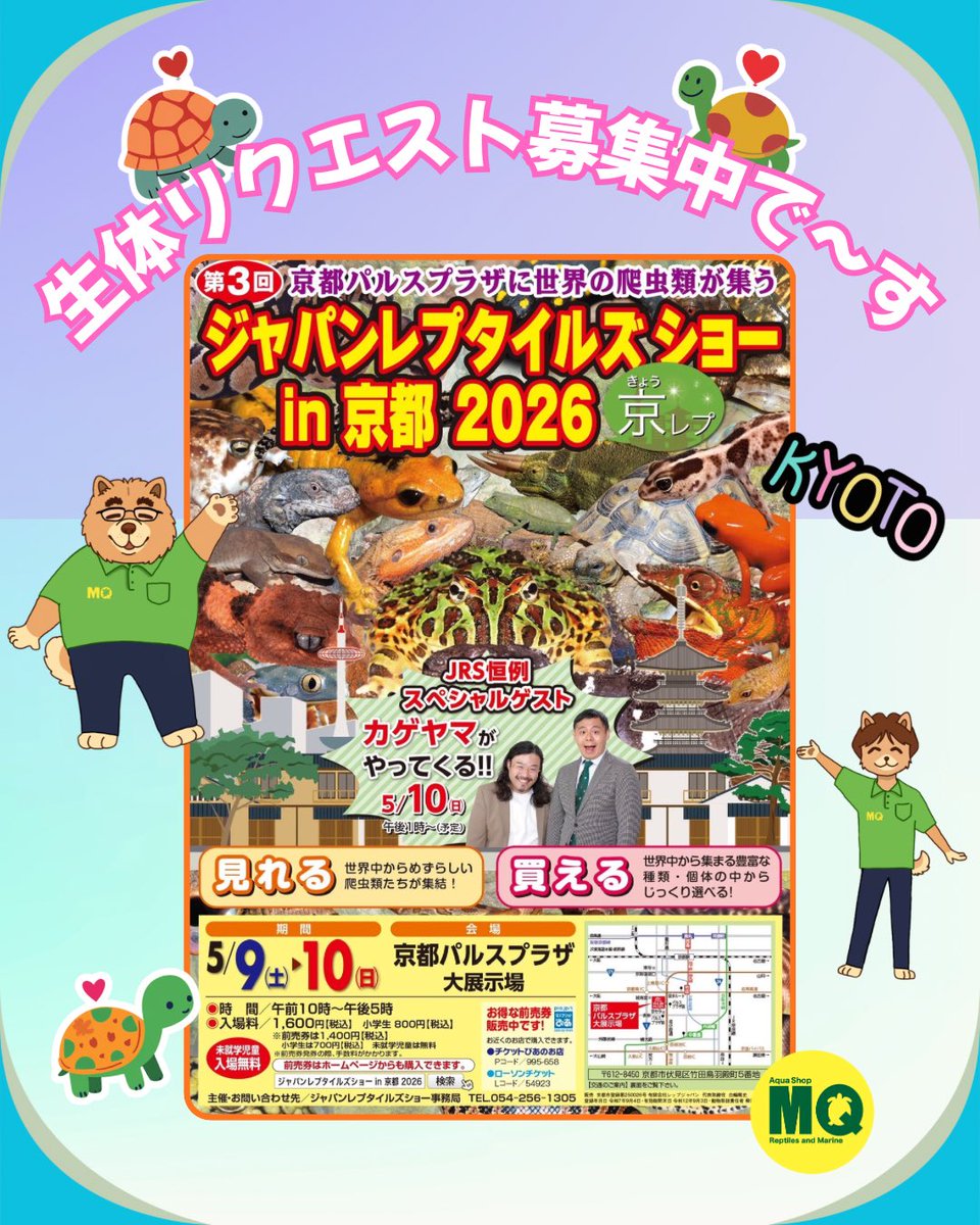 アクアショップMQ🐢4/25.26🎉ジャパンレプタイルズショーin東京出展✨ tweet media