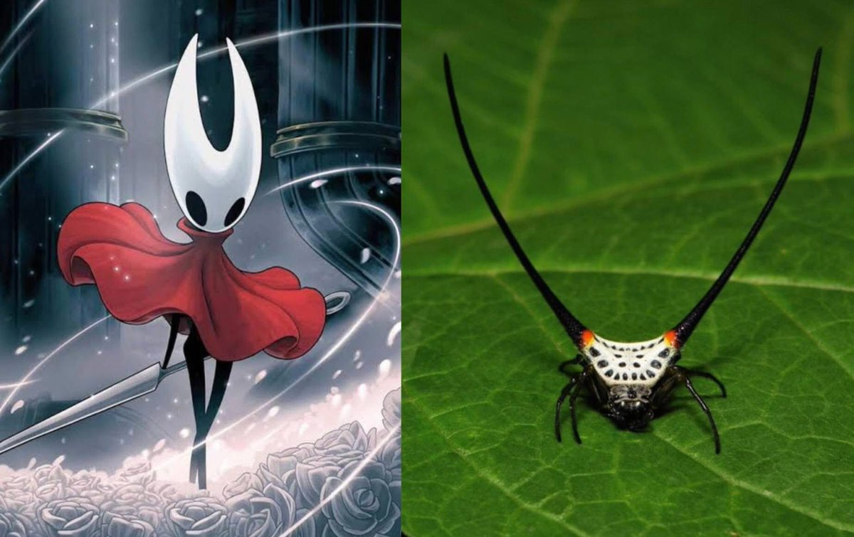 🕷️🕸️Chrollo Lucifer𐕣💢 tweet media