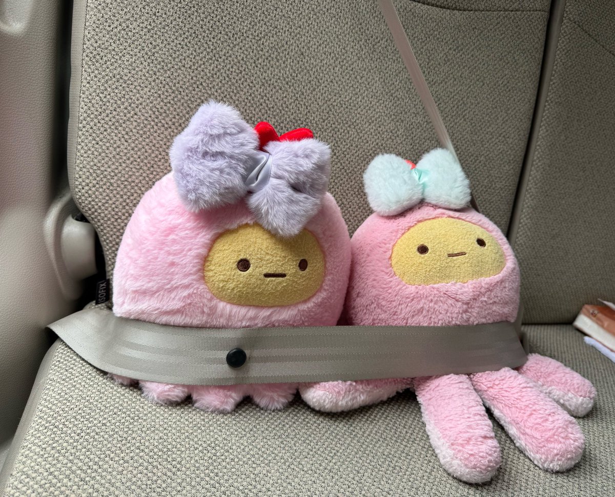 たぴぃん tweet media