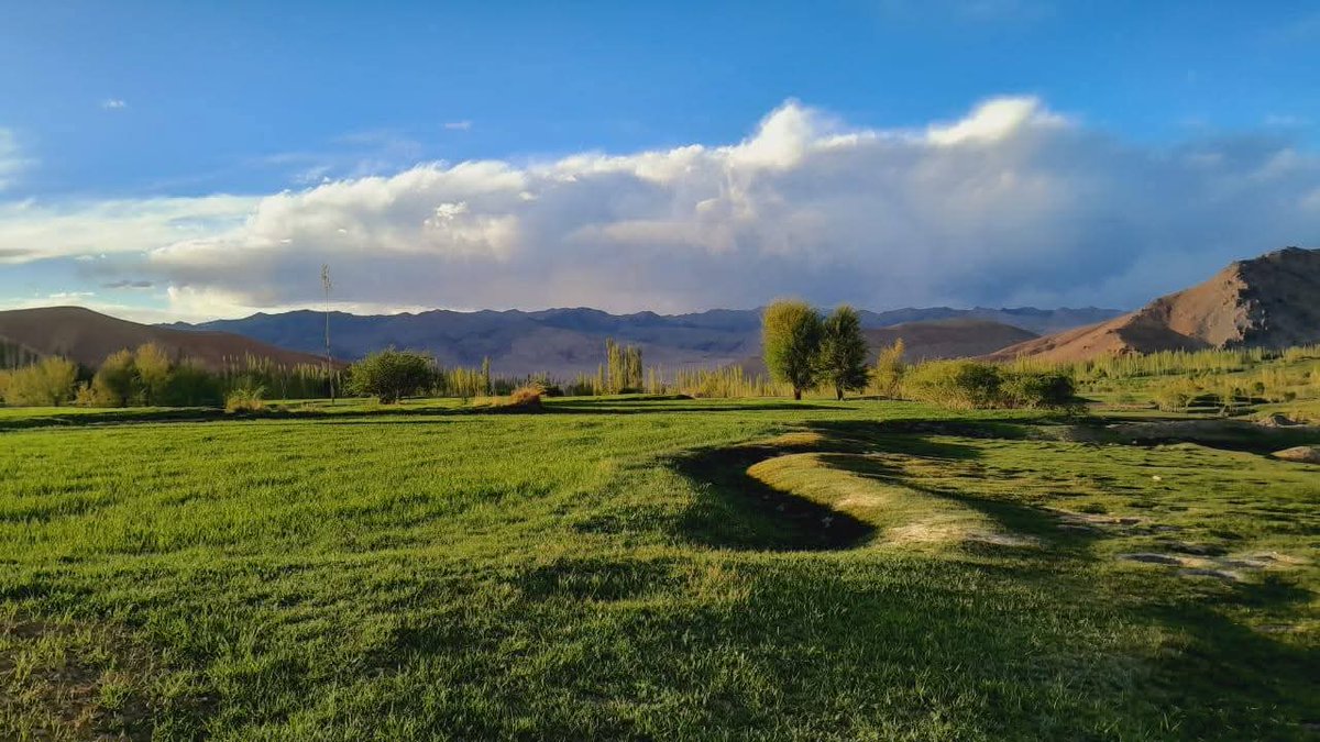 گُلدره دای فولاد ( اجرستان )
#هزارستان #اجرستان #ارزگان #غزنی