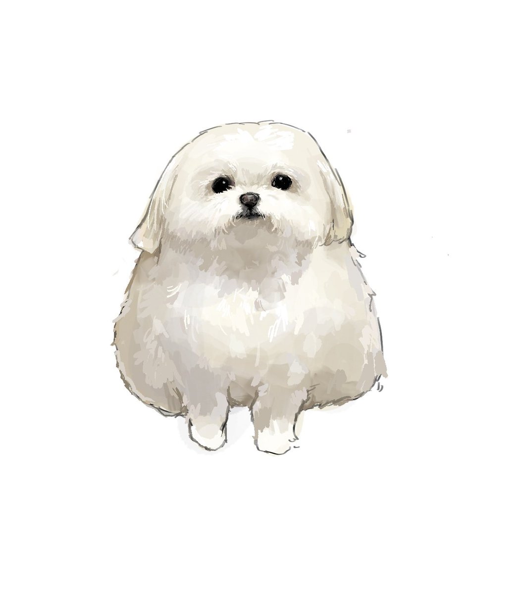 ﾂﾑｷﾞ tweet media