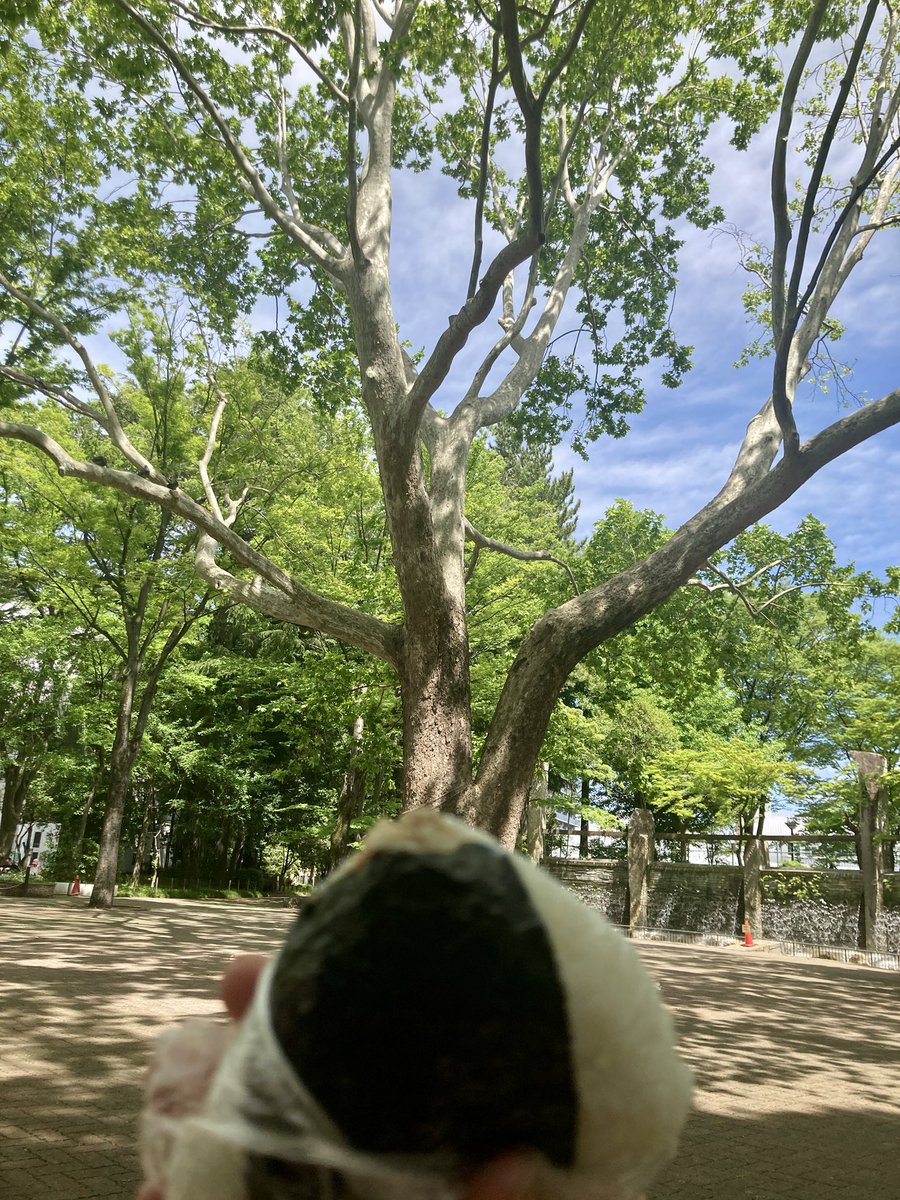 奥田祐 OKUDA Yu tweet media