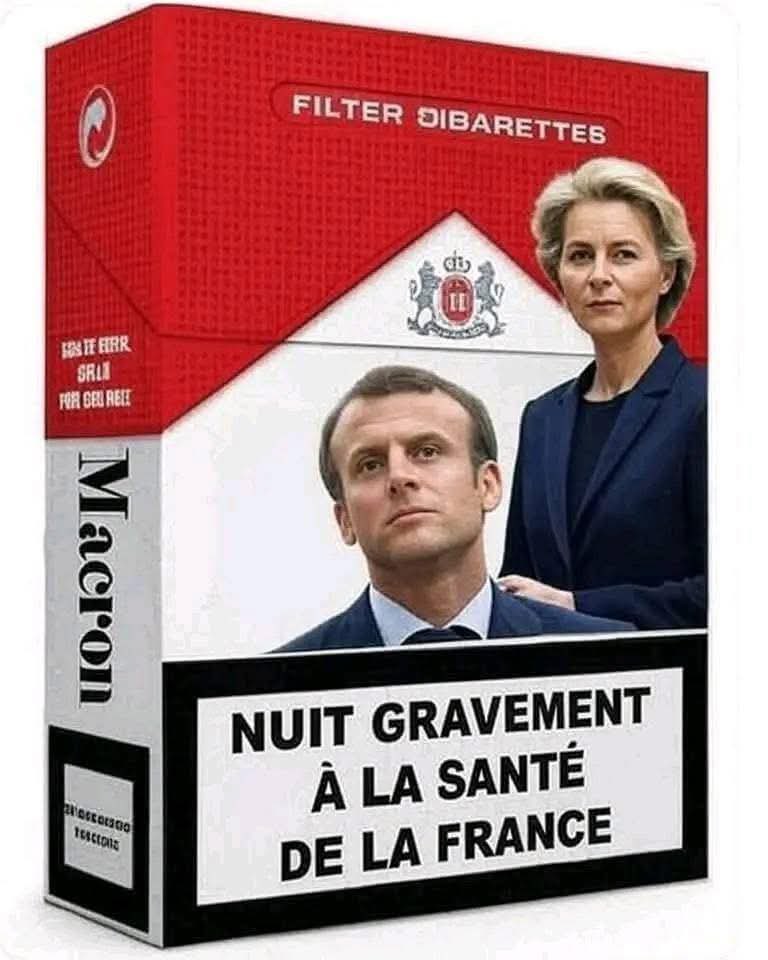 La meilleure France 🇫🇷✝️✊💸 tweet media