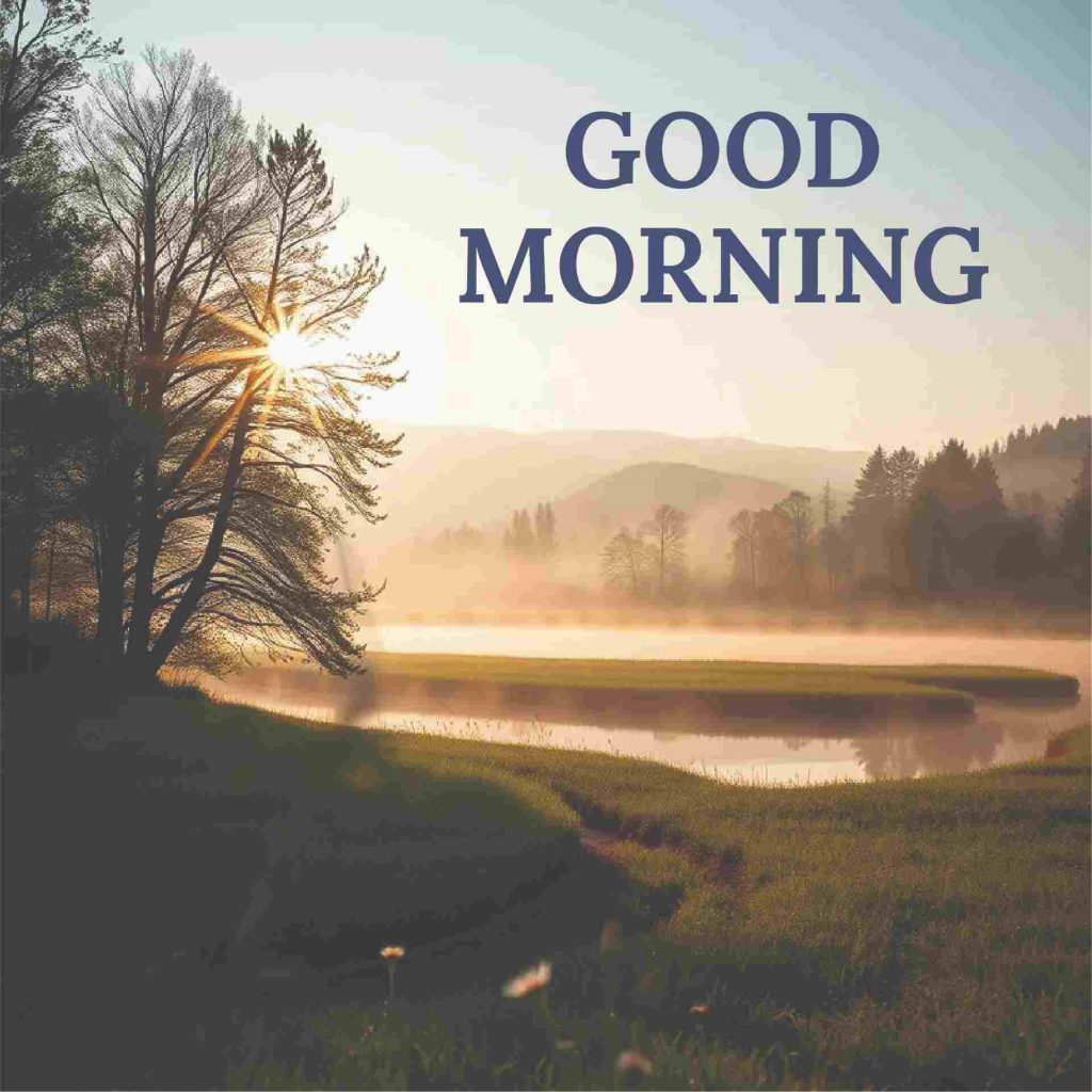 StarJay_23's tweet image. Good morning X Family ! Wishing you a fantastic Monday and a great week. ☀️#HappyMonday #NewWeek
