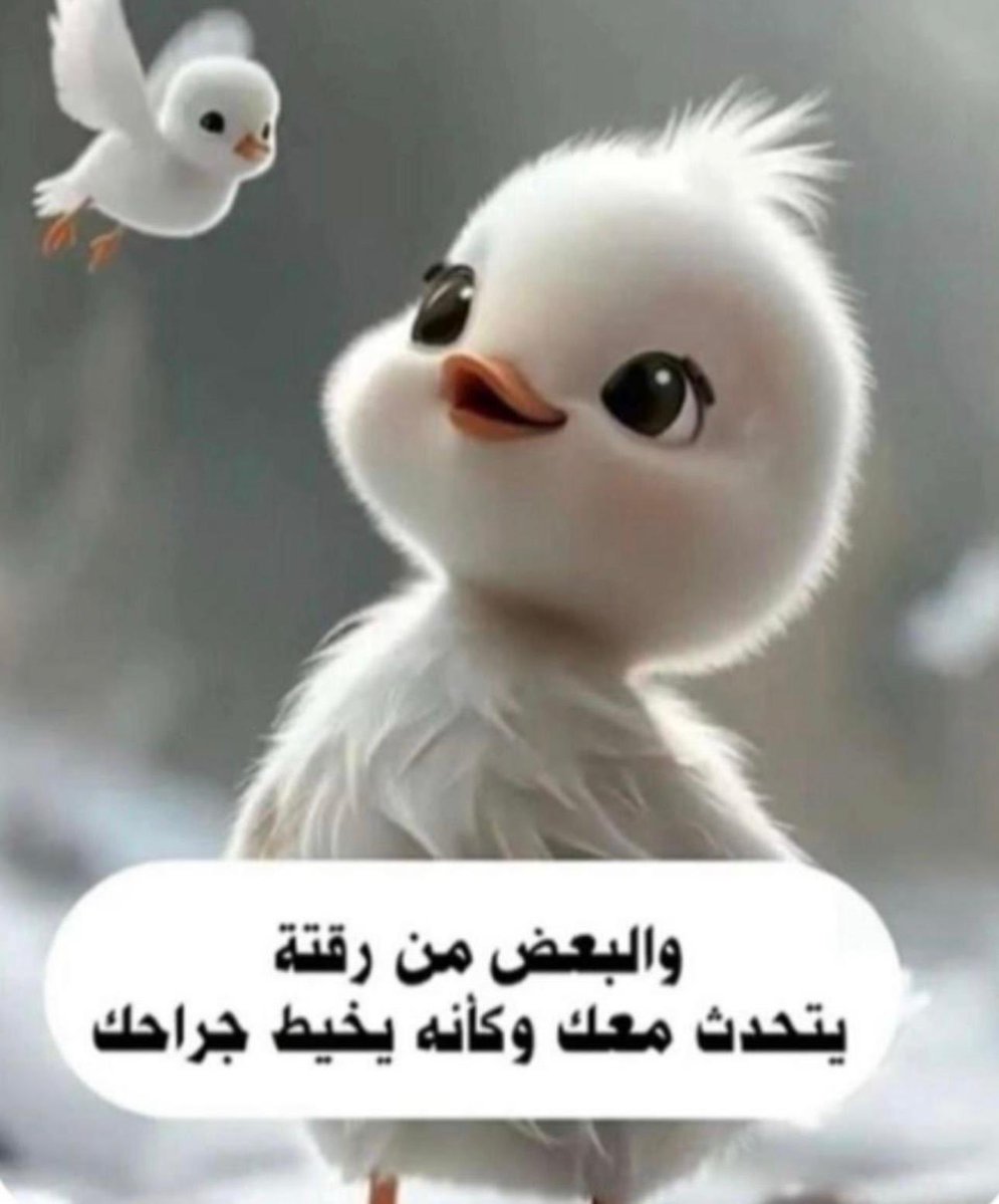 شروق 🇰🇼🤍 tweet media