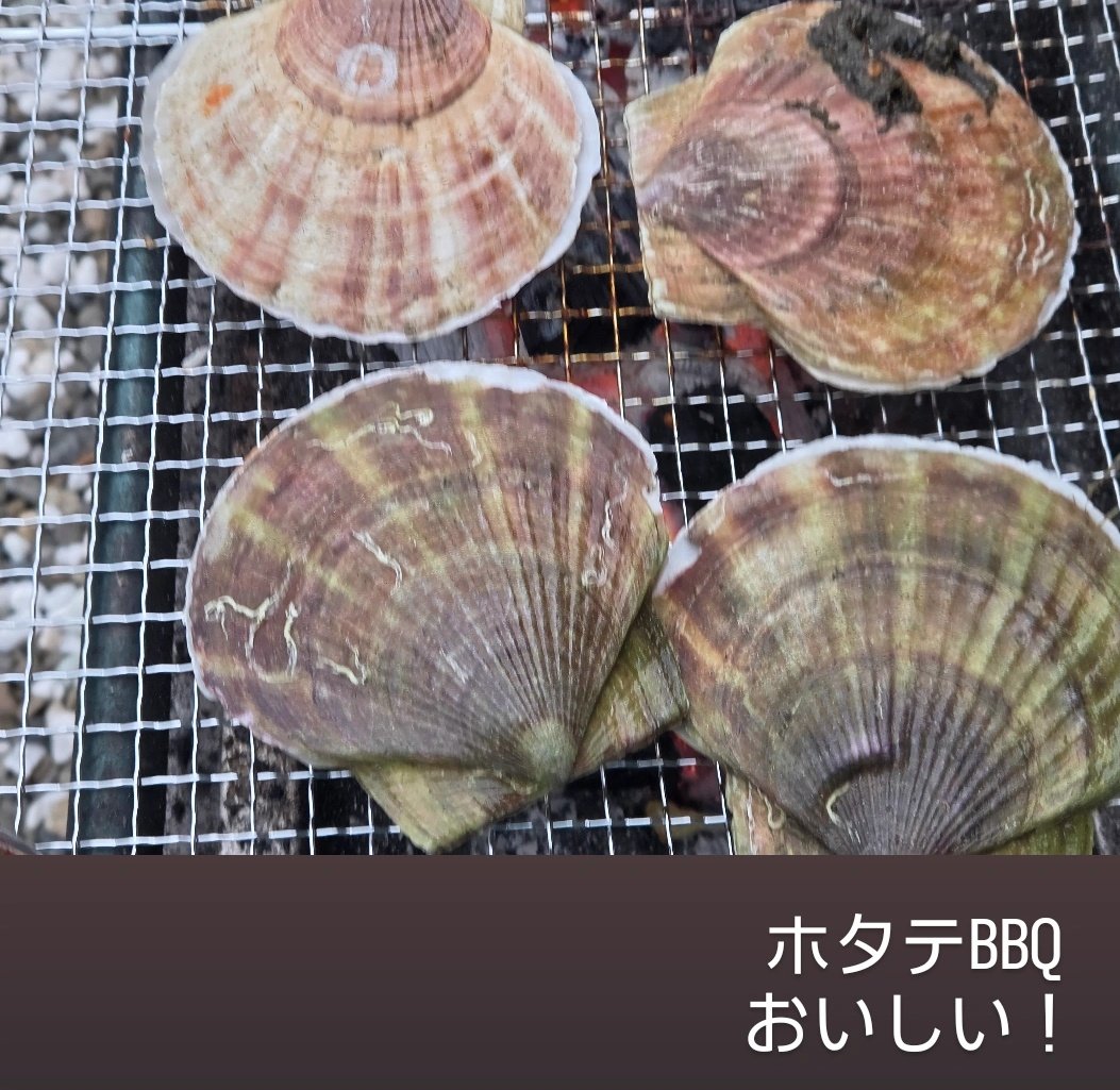 towaainutronica's tweet image. #丹頂鶴　いた！
座ってるの初めてみた♥️
#BBQ　#海鮮　#北海道グルメ