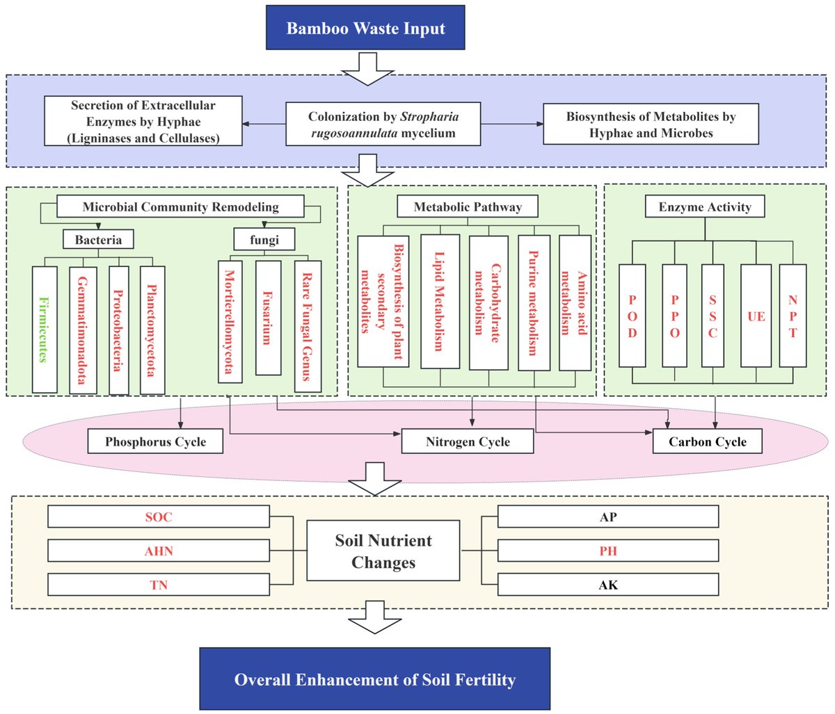 Horticul_MDPI's tweet image. 📘 Title: #Postharvest #Disease #Control Experiments: Challenges on Statistical Methodologies.

✍️ Paper written by: Aline de Holanda Nunes Maia et al.

🔍 Discover the full study: mdpi.com/2311-7524/12/3…

#academic #publishing #MDPI #horticulture #science #scientific