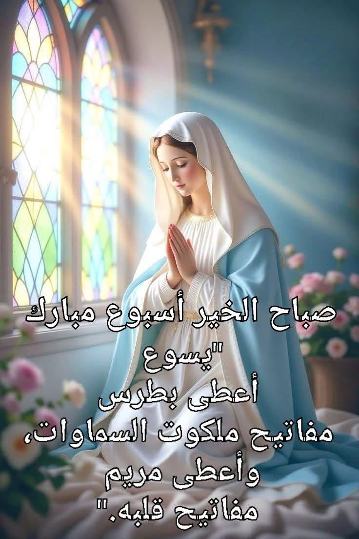 Elie salem tweet media