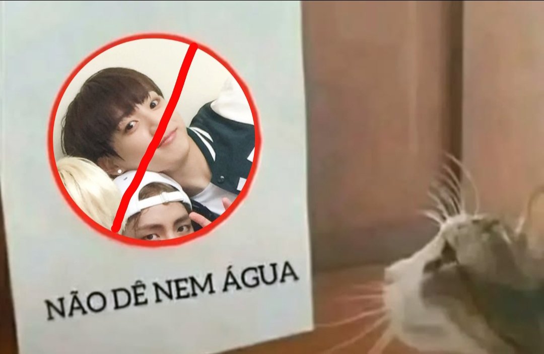 Clara⁷ 🪭 tweet media