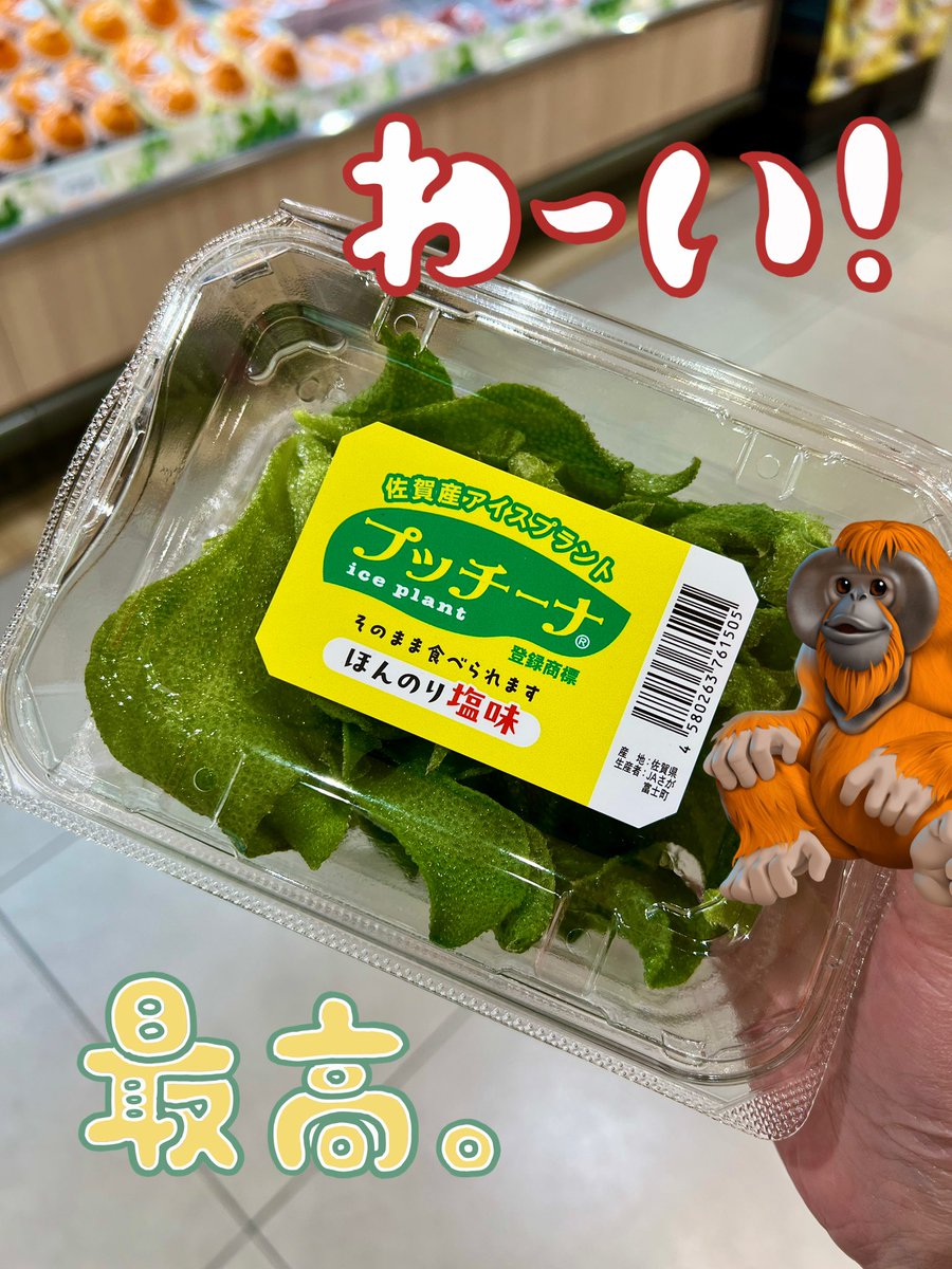 極彩赤蛇千里ﾒﾃﾞｭｰｻ tweet media