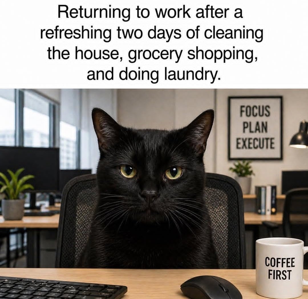 CatitudeQueen's tweet image. #AtWork