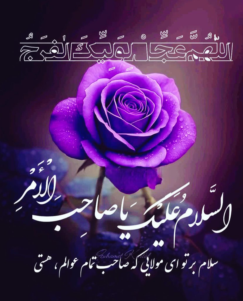 الهه بانو tweet media