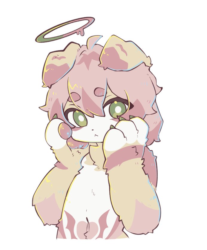 R_CAT | 도냥 | tweet media