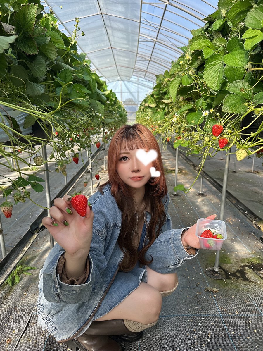 _csp___'s tweet photo. 🍓.ﾟ･*. https://t.co/qiuwkLhM2z