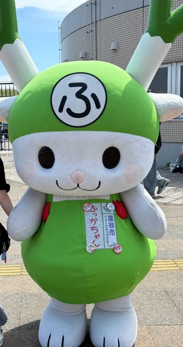 まさみ🦭 tweet media