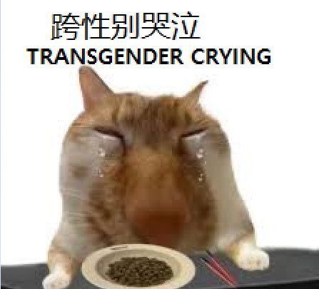 PyroToasty's tweet photo. @k0dokunazou https://t.co/7x0GSiFojI