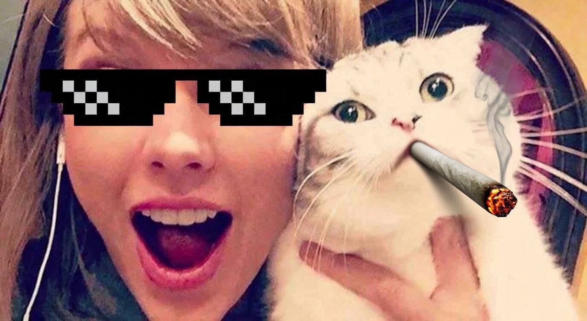 Taylor Shift tweet media