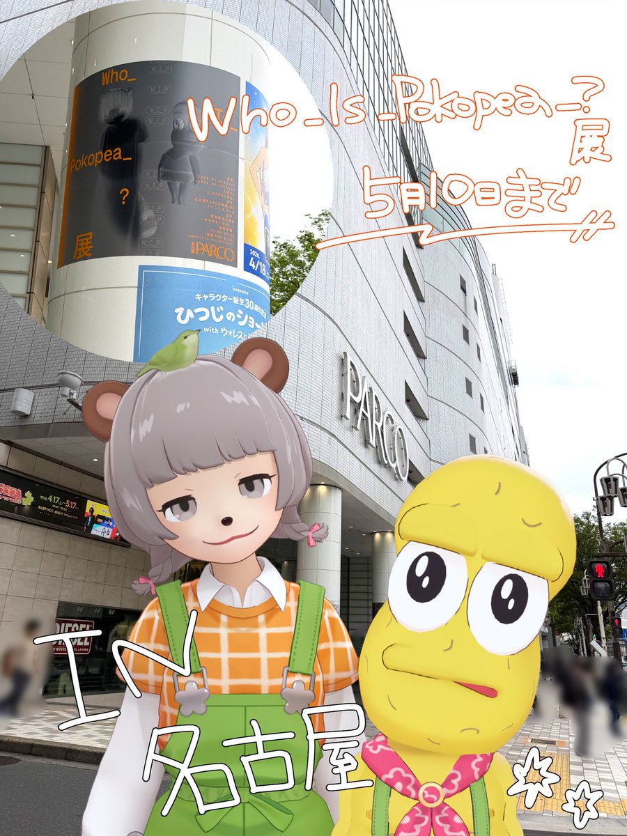 甲賀流忍者ぽんぽこ🍃たぬき！ tweet media