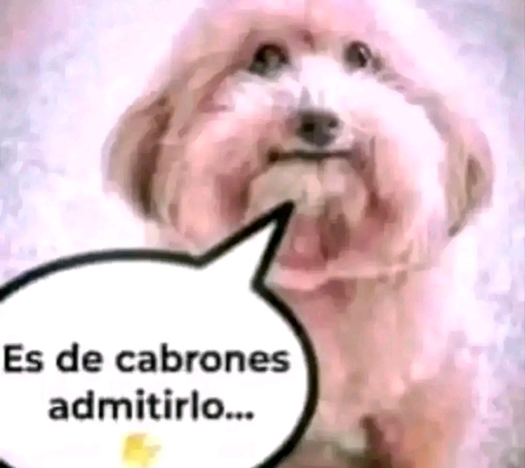 SOY NJ tweet media