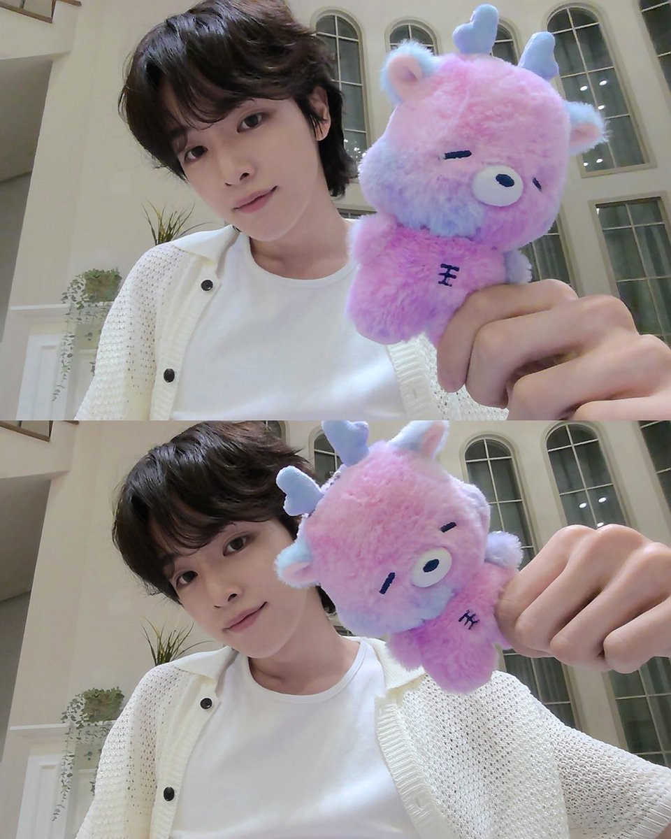 wt ♡ ˚. tweet media