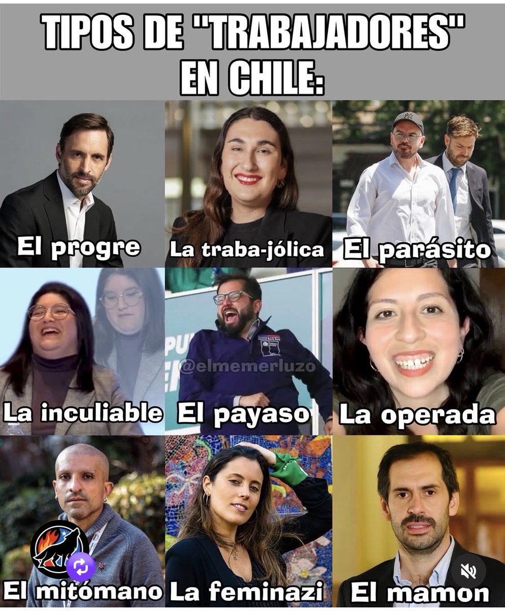 pdv tweet media