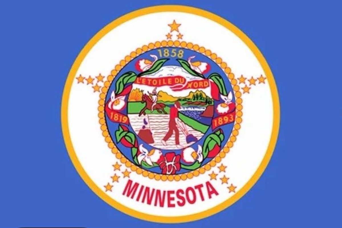 Minnesota Lady America First🇺🇸 tweet media