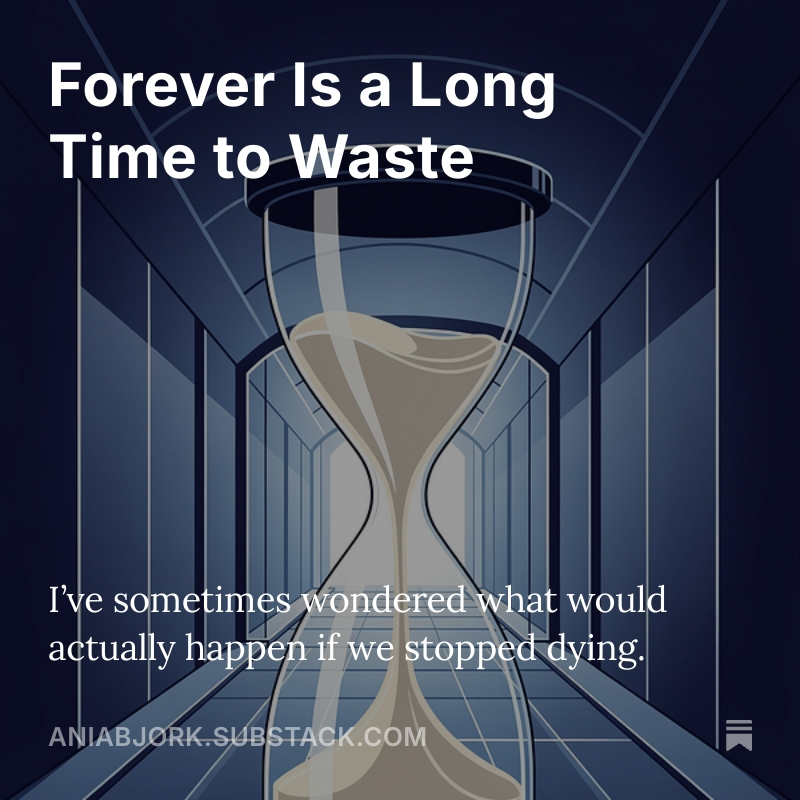 Forever Is a Long Time to Waste open.substack.com/pub/aniabjork/…