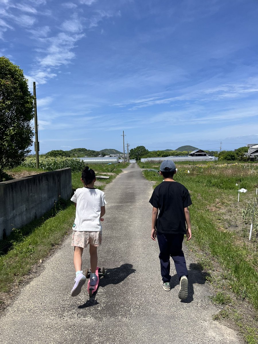 風が強いみどりの日。
テントはそのままで
宿題したり散歩したり。
日の丸は今日も美しいなぁ。