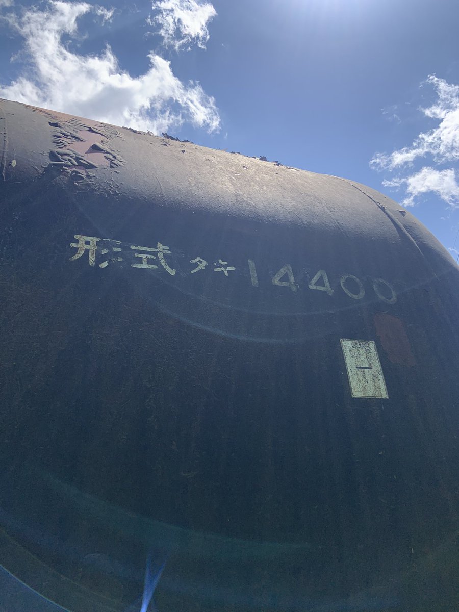 蛾好き tweet media