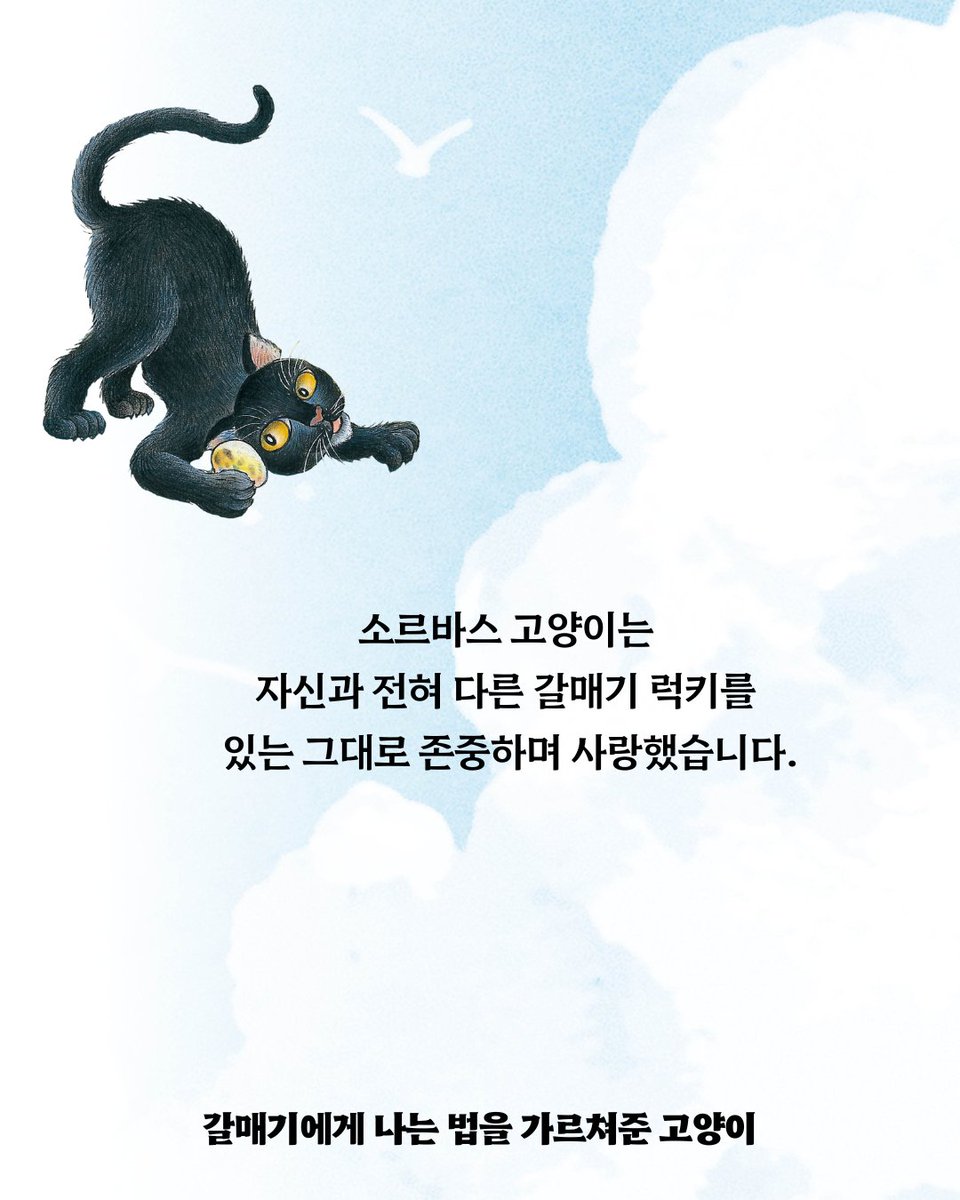 바다출판사 tweet media
