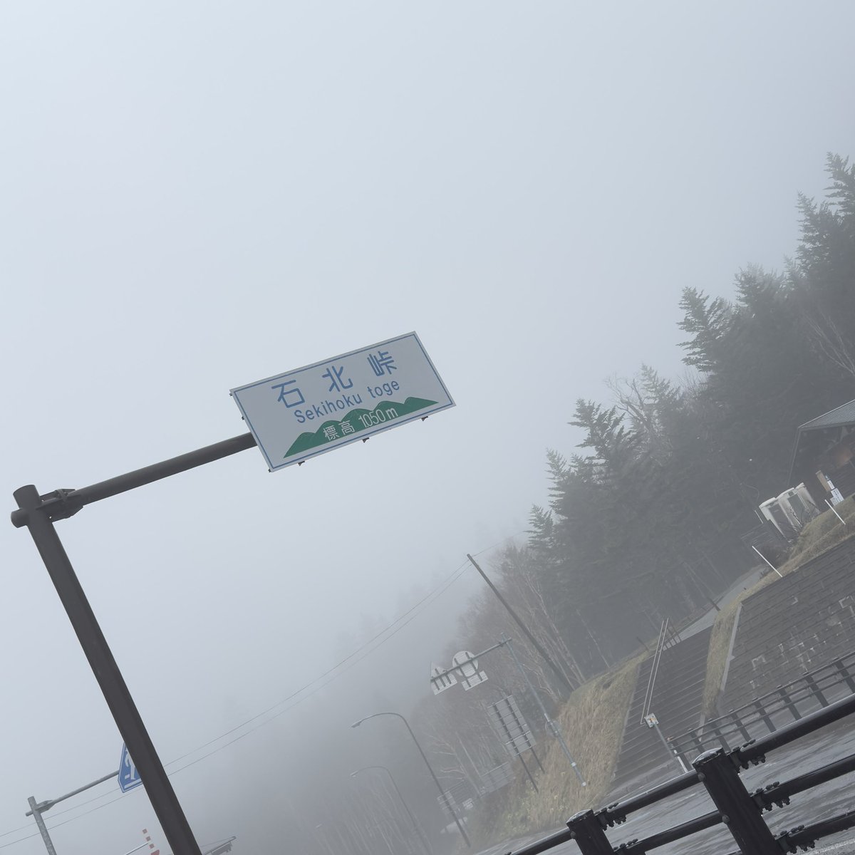 雨だった☔️
