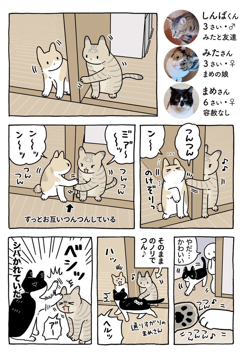 AKR🌱⑧巻6月発売 tweet media