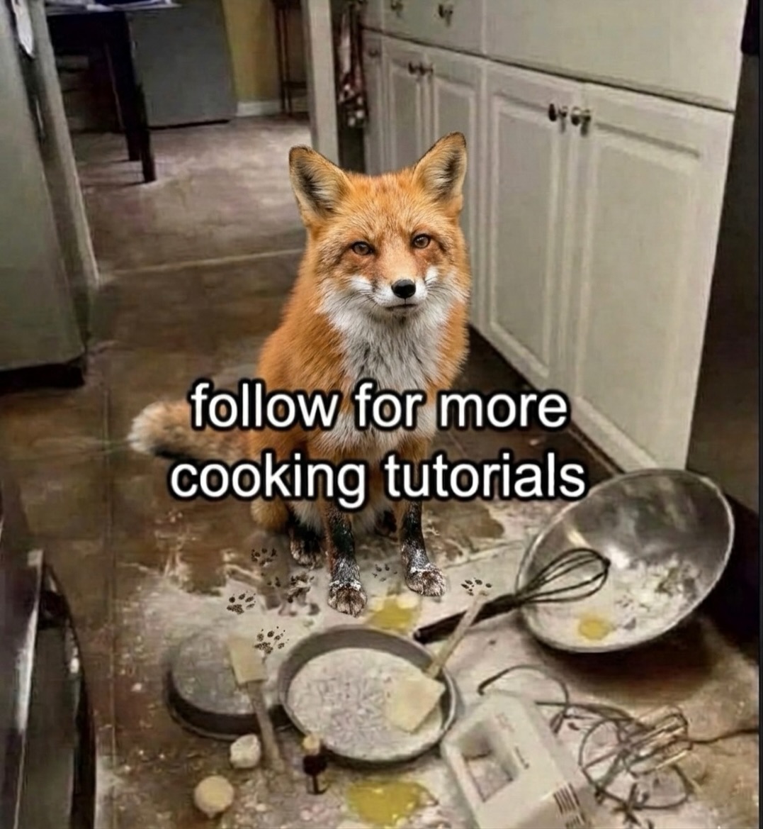 TheFoxLife's tweet photo. Step 1: destroy the kitchen
Step 2: plate with elegance https://t.co/zLd9HYvQiO