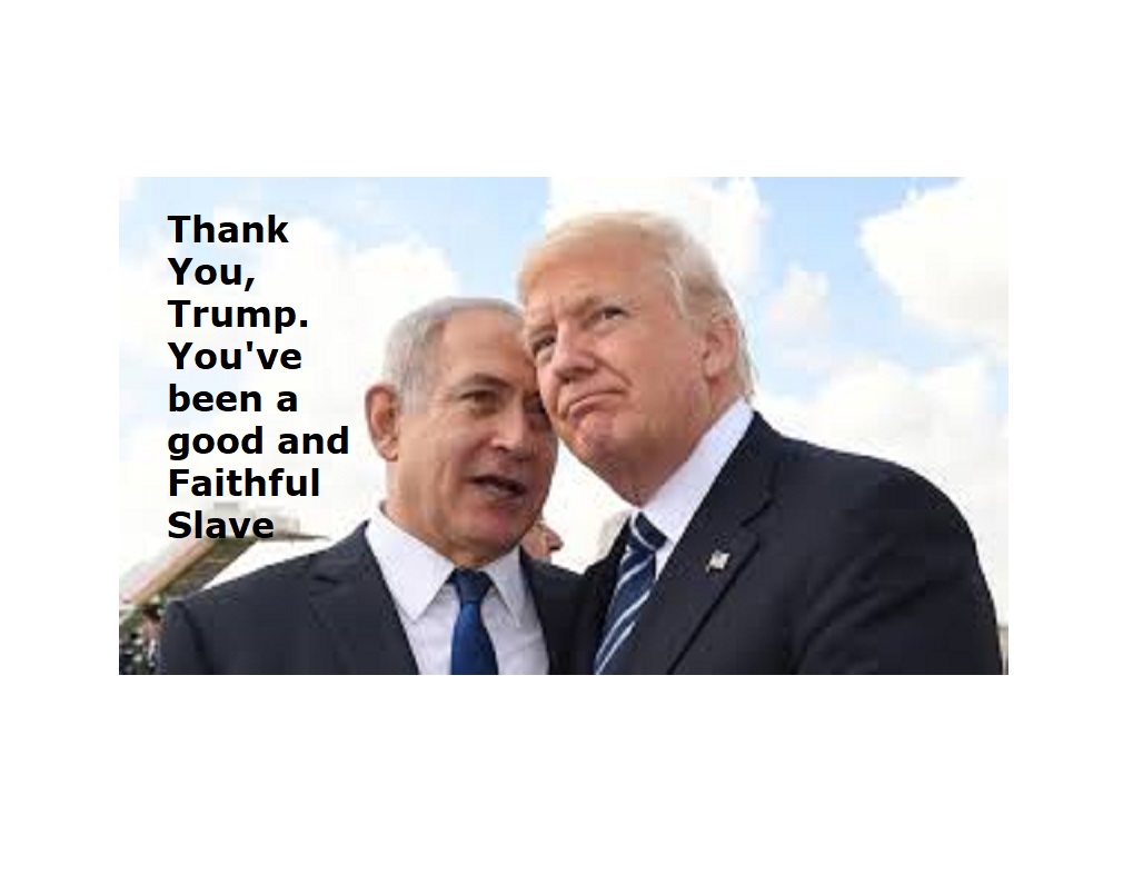 VincentCiofani's tweet image. All nations #suffer under #nasty #Dictators . Trump doesn't #wipehisass , #Dirty #WhiteDevil Suck  #ElonMusk #BillGates #fauci and #netenyahu dick till you get #CumDrunk you nasty #Fraud