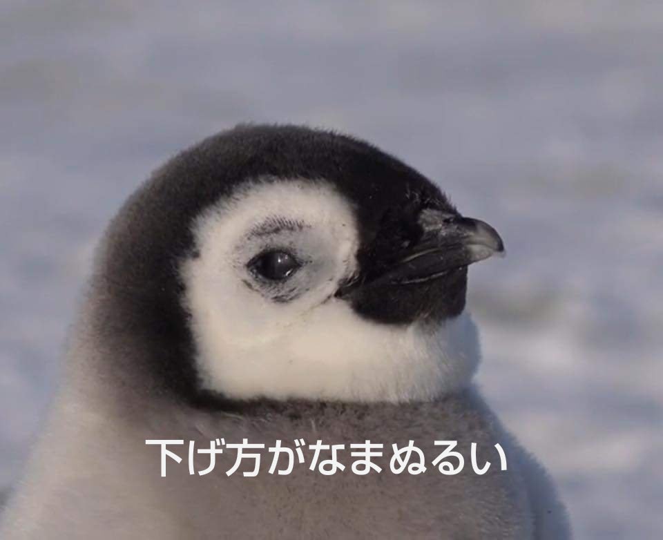 ぽた💸@投資初心者🔰 tweet media