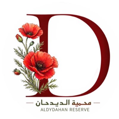 dydhan_sa's tweet photo. #صورة_جديدة_للملف_الشخصي https://t.co/5KoC8j0oar