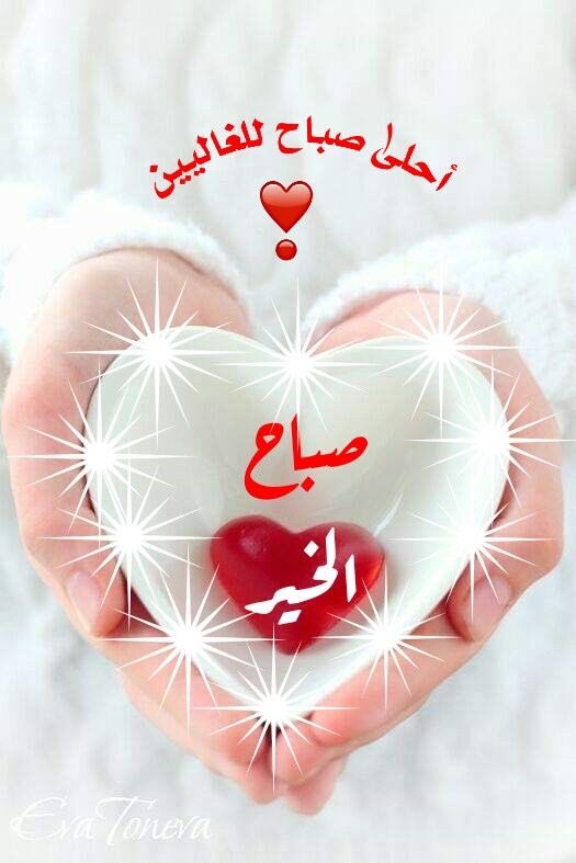فلك 💞 tweet media