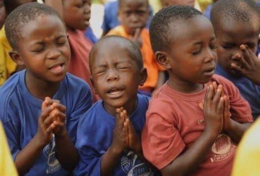 SaVheYa veX tweet media