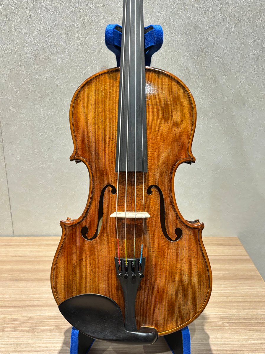 ビオラのあたたかい音色を楽しめるモデル！ Nicolo Sant NSA80/S 39.5